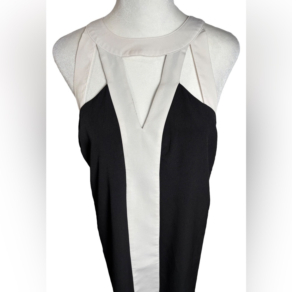 Project Runway S Black & White Vertical Stripes High-low Dress - Picture 2 of 9
